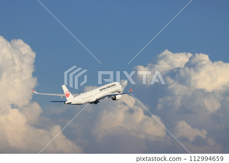 Airliner taking off and rising 112994659