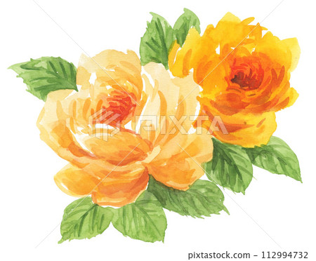 Yellow rose painted with watercolor 24327pix7 112994732