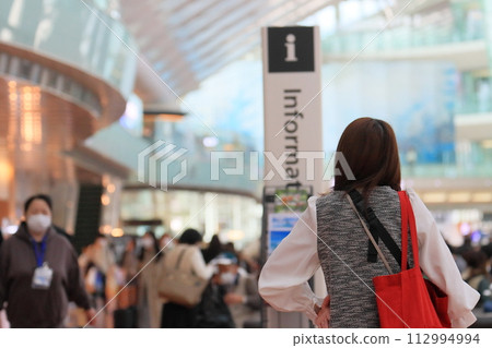 Haneda Airport information pictogram 112994994