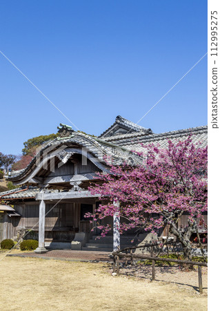 舊鍋島住宅（Nabeshima Residence）和猩紅色的櫻花[長崎縣雲仙市] 112995275