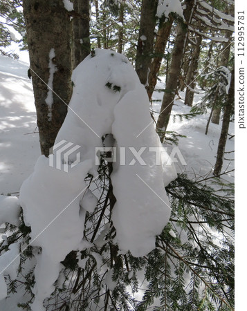 Kurodayama during the remaining snow season (snow that looks like a dog with long eyelashes) Kurodayama during the remaining snow season (snow that looks like a dog with long eyelashes) 112995781