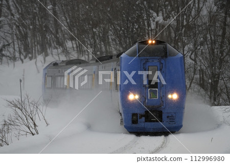 雪中奔跑的特急大豆 112996980