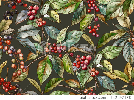 Coffee tree. Branch with leaves and berries.  112997178
