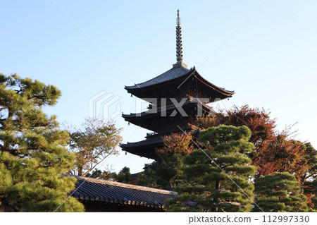 京都,清晨的東寺,五層寶塔與秋葉 京都,清晨的東寺,五層寶塔與秋葉 112997330