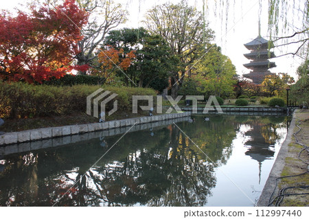 Kyoto, Toji Temple in the early morning, five-storied pagoda and autumn leaves Kyoto, Toji Temple in the early morning, five-storied pagoda and autumn leaves 112997440
