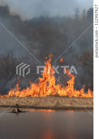 Burning to maintain the wetland environment of Kabukurinuma 112997627