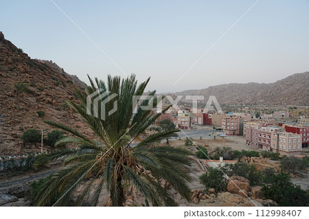 Palm tree with cityscape of African Tafraout city in Morocco Palm tree with cityscape of African Tafraout city in Morocco 112998407