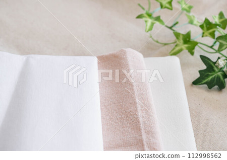 Adhesive interlining and cloth Adhesive interlining and cloth 112998562