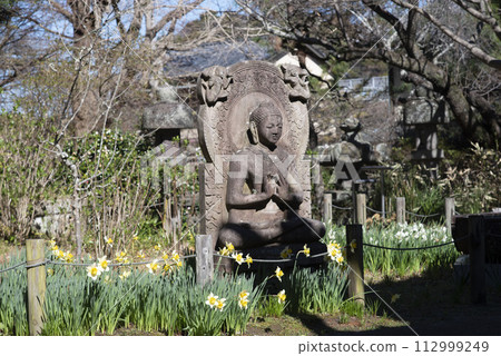 鎌倉 243 安國論寺 9 水仙 鎌倉 243 安國論寺 9 水仙 112999249