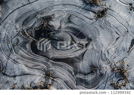 rice field art 112999392