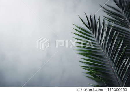 AI-generated content. palm leaf background with copy space 113000060