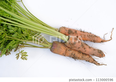 Carrots with mud photographed against a white background Carrots with mud photographed against a white background 113000596