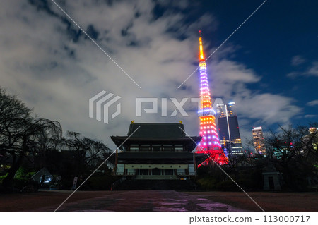 Zojoji Temple and Tokyo Tower at night, Minato Ward, Tokyo 113000717