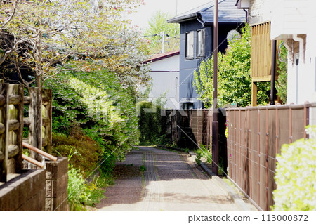 A promenade 113000872