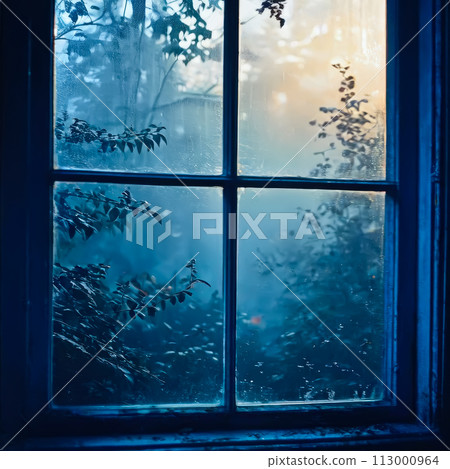 Night nature view through the window frame. 113000964