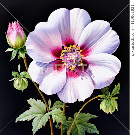 Beautiful flower. Floral art painting. 113001021