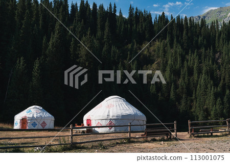traditional Asian nomadic white yurts near forest in summer in the steppes of Kazakhstan traditional Asian nomadic white yurts near forest in summer in the steppes of Kazakhstan 113001075