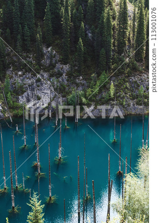 Kaindy Lake in Tien Shan mountains in Kazakhstan in summer with a sunken fir forest. Top view from a drone 113001076