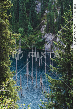 landscape with Kaindy Lake with blue water and a sunken forest with tree trunks in Kazakhstan in Tien Shan mountains in summer. Top view from a drone 113001081