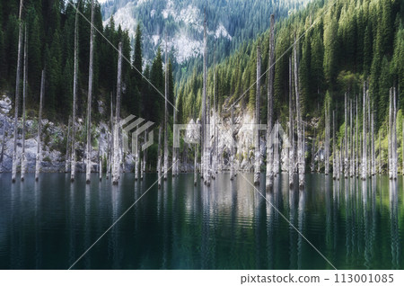 amazing Kaindy Lake in the Tien Shan mountains in Kazakhstan in summer. Mysterious lake with a sunken fir forest 113001085