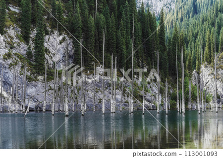 amazing Kaindy Lake in the Tien Shan mountains in Kazakhstan in summer. Mysterious lake with a sunken fir forest amazing Kaindy Lake in the Tien Shan mountains in Kazakhstan in summer. Mysterious lake with a sunken fir forest 113001093