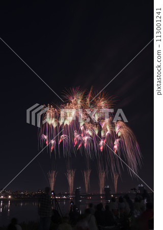 Fireworks blooming in the night sky, fireworks display shining high, fireworks, night sky, fireworks image, fireworks display Fireworks blooming in the night sky, fireworks display shining high, fireworks, night sky, fireworks image, fireworks display 113001241