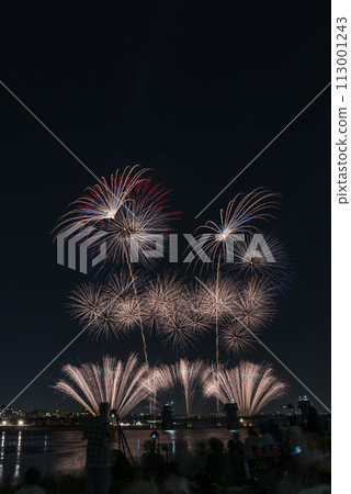 Fireworks blooming in the night sky, fireworks display shining high, fireworks, night sky, fireworks image, fireworks display Fireworks blooming in the night sky, fireworks display shining high, fireworks, night sky, fireworks image, fireworks display 113001243