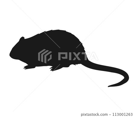 Vector hand drawn nutria silhouette 113001263