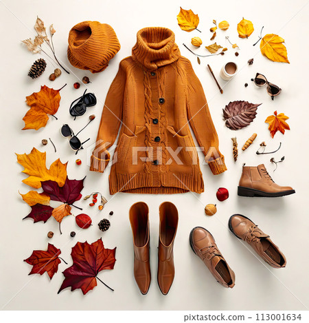 Set of the colorful clothes and accessories. Flat lay, top view. Autumn colors. Set of the colorful clothes and accessories. Flat lay, top view. Autumn colors. 113001634