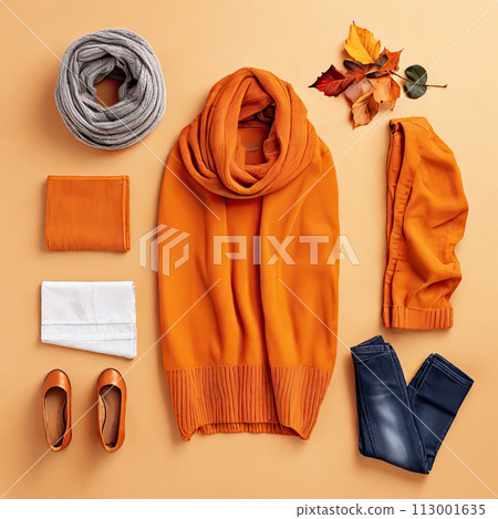 Set of the colorful clothes and accessories. Flat lay, top view. Autumn colors. Set of the colorful clothes and accessories. Flat lay, top view. Autumn colors. 113001635