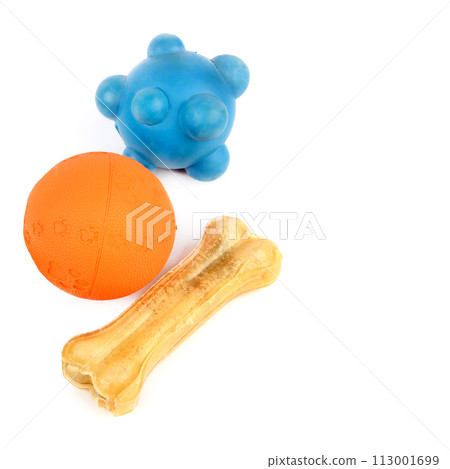 Set of dog toys isolated on white. Free space for text. 113001699