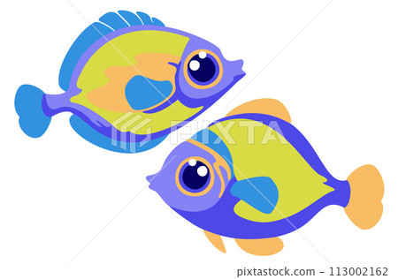 Bright cute fishes. Vector isolated illustration Bright cute fishes. Vector isolated illustration 113002162