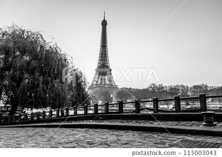 A black and white photo of the Eiffel Tower in Paris, France. The image has a moody and nostalgic feel, as it captures the tower at dusk A black and white photo of the Eiffel Tower in Paris, France. The image has a moody and nostalgic feel, as it captures the tower at dusk 113003043