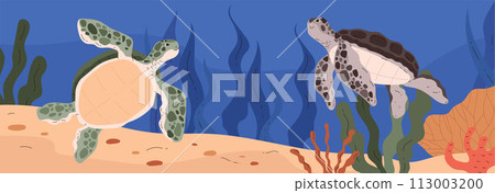 Sea green and grey turtles in ocean bottom wild life with corals algae, cartoon vector marine reptile animal, amphibian Sea green and grey turtles in ocean bottom wild life with corals algae, cartoon vector marine reptile animal, amphibian 113003200