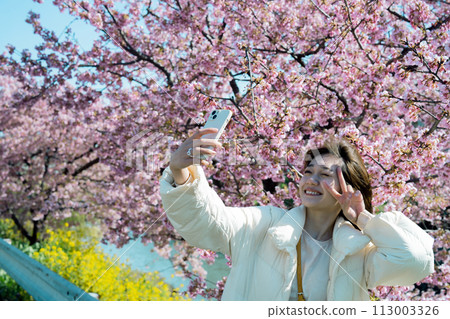 A woman taking a selfie with cherry blossoms on her smartphone A woman taking a selfie with cherry blossoms on her smartphone 113003326