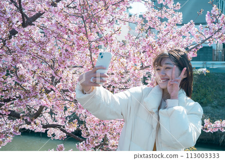 A woman taking a selfie with cherry blossoms on her smartphone 113003333