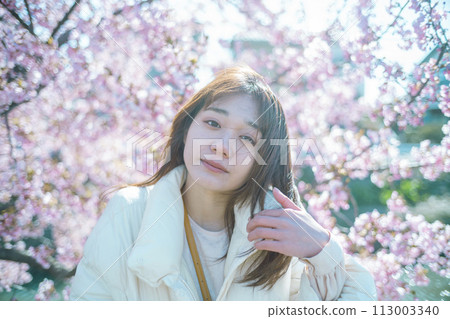 Kawazu cherry blossoms and women 113003340