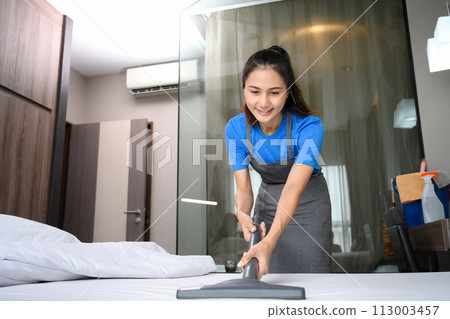 Woman removing dust and dirty on mattress with vacuum cleaner. Housekeeping and cleaning service concept Woman removing dust and dirty on mattress with vacuum cleaner. Housekeeping and cleaning service concept 113003457