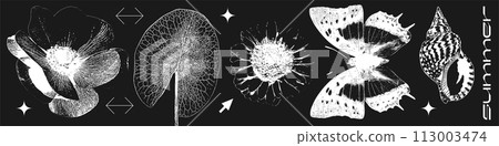 Various summer flowers, leaf, shell, butterfly photocopy effect elements set with grunge stippling grain messy texture. Trendy y2k aesthetic vector illustration. Negative film imitation. 113003474
