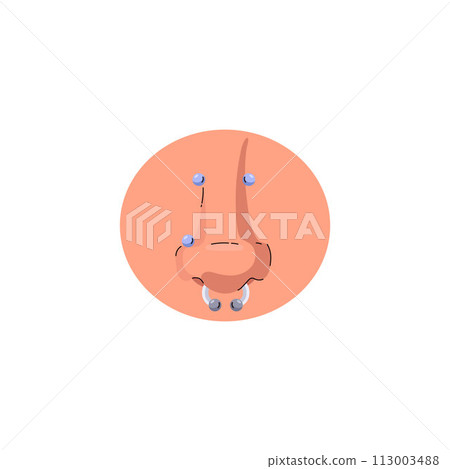 Nose with piercing in a round frame vector illustration. Nose with piercing in a round frame vector illustration. 113003488