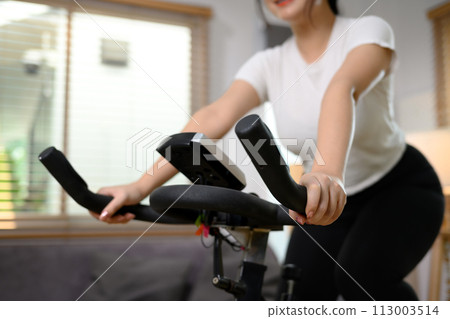 Young woman doing cardio workout on stationary bike at home Young woman doing cardio workout on stationary bike at home 113003514