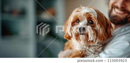 Veterinarian in a white coat holding puppy in arms 113003923