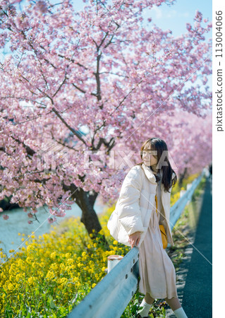 Kawazu cherry blossoms and women 113004066