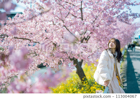 河津櫻花與女人 113004067