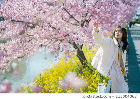 Kawazu cherry blossoms and women 113004068