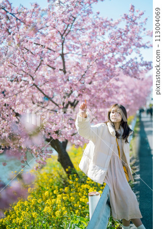 Kawazu cherry blossoms and women 113004069