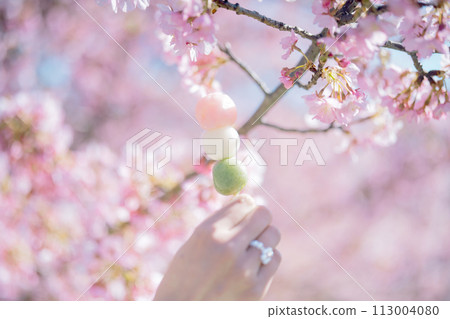 Kawazu cherry blossoms and three-colored dango 113004080