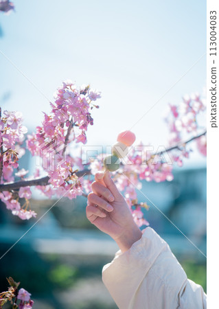 Kawazu cherry blossoms and three-colored dango Kawazu cherry blossoms and three-colored dango 113004083