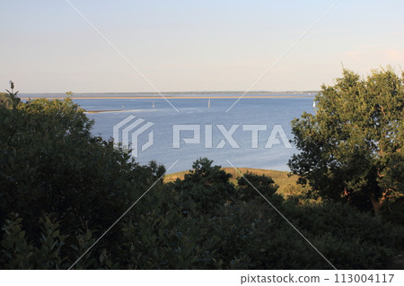 Bock Insel Deutschland Island Germany 113004117