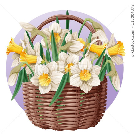 Basket with spring flowers on isolated background. Vector illustration of a bouquet of daffodils in a wicker basket. Gift for Women's Day, Mother's Day, etc. 113004378